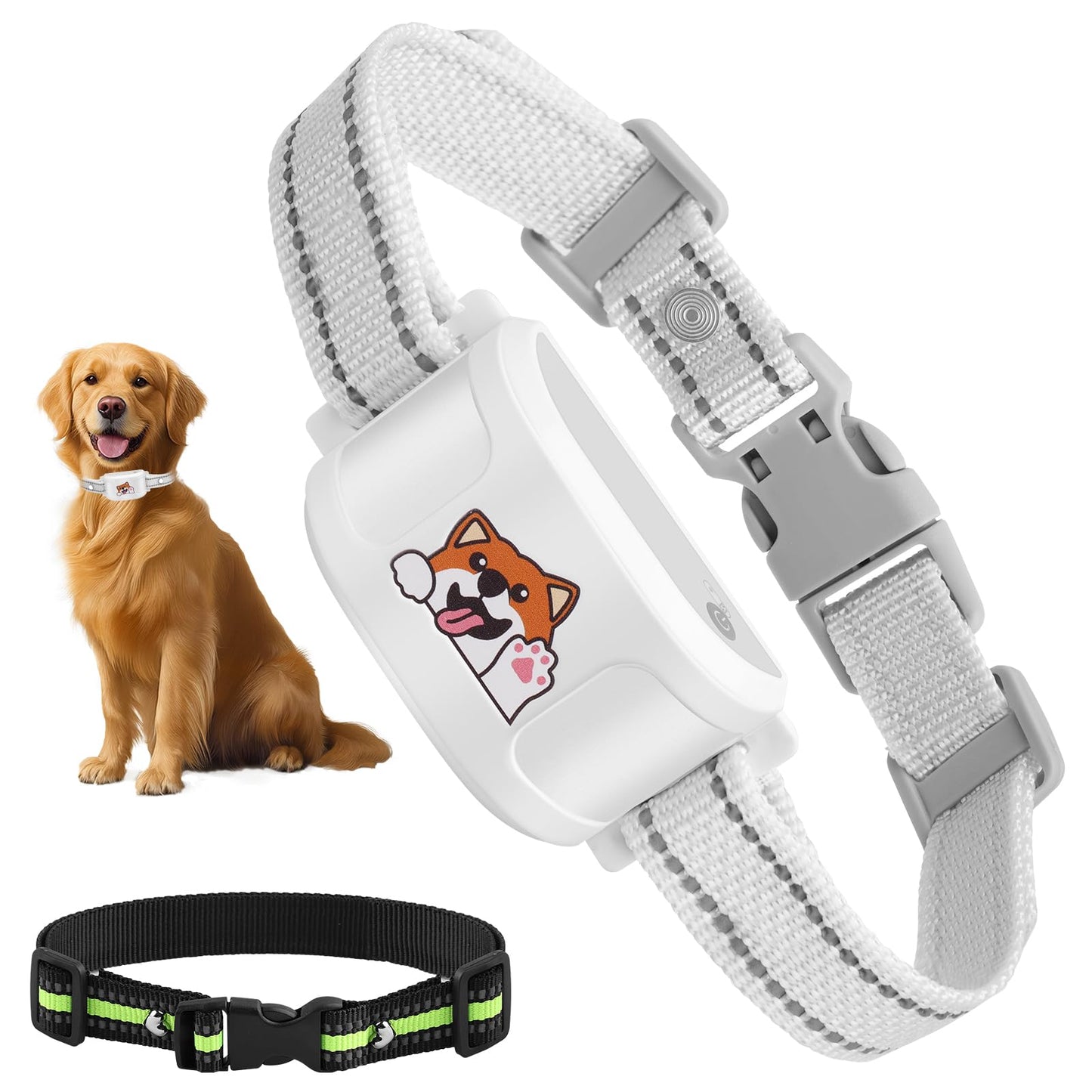 Bluetooth hundegjerde & treningshalsbånd