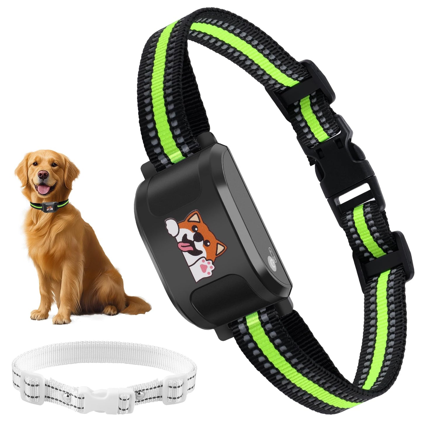 Bluetooth hundegjerde & treningshalsbånd